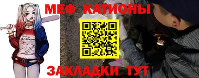 мдпв Камышлов