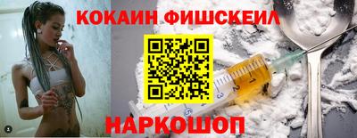 мдпв Камышлов