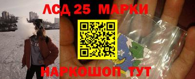 мдпв Камышлов
