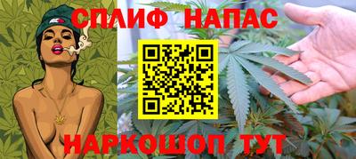 мдпв Камышлов