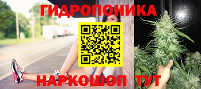 марихуана Кандалакша