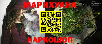 мдпв Камышлов