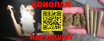 мдпв Камышлов