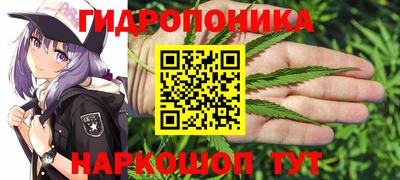 гашик Канаш