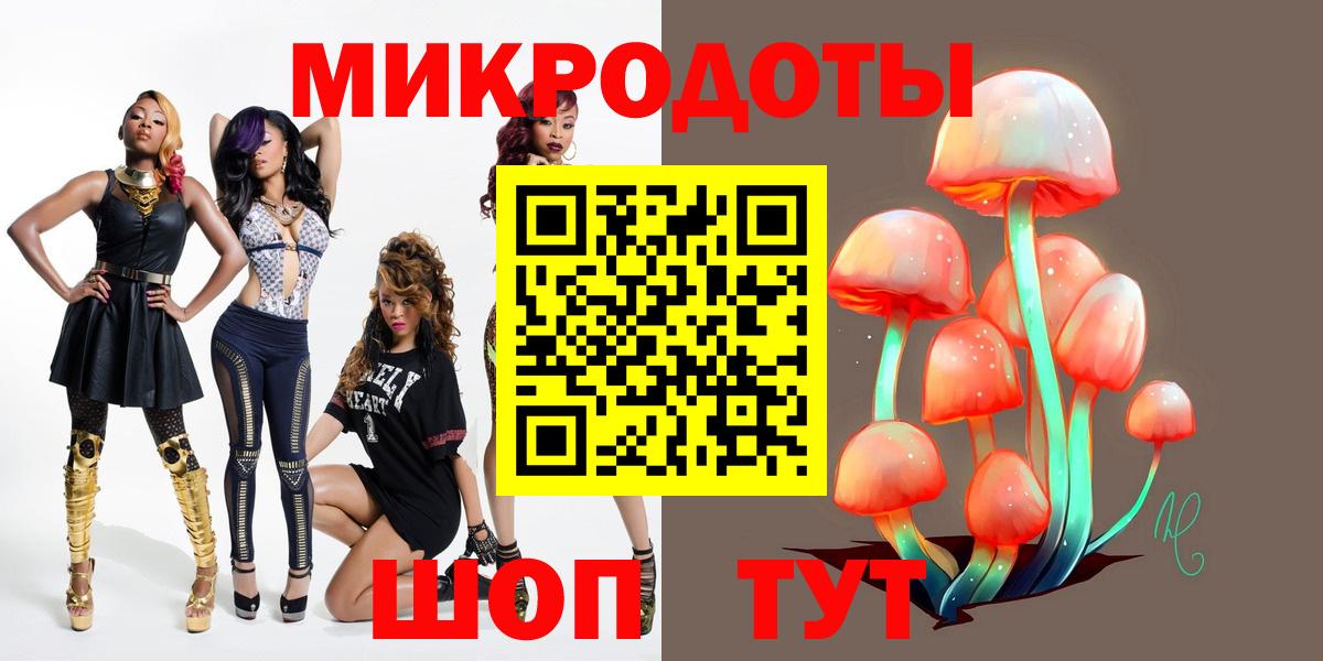 Псилоцибиновые грибы Psilocybe Мегион