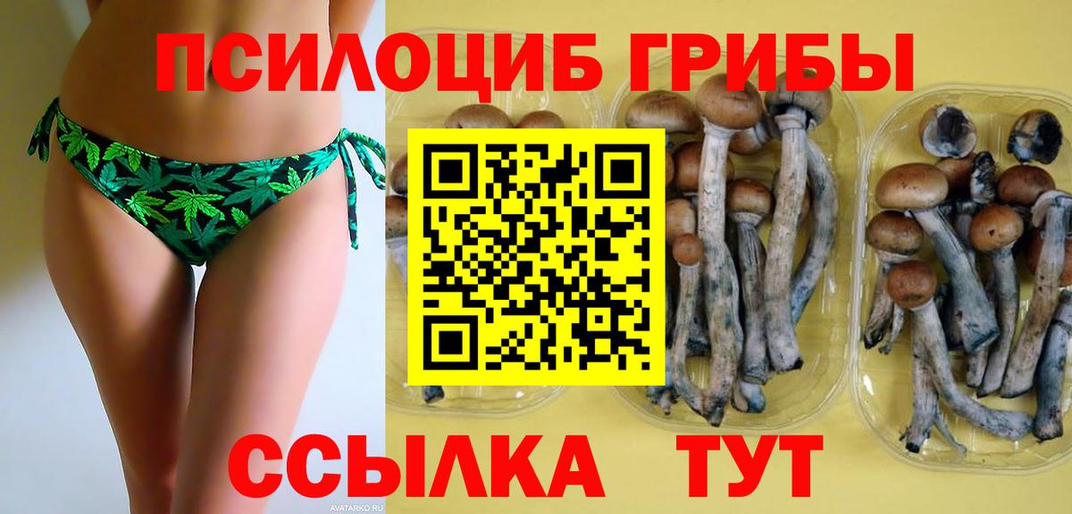 Мегион  где найти наркотики  Вход с VPN  Псилоцибиновые грибы мицелий 